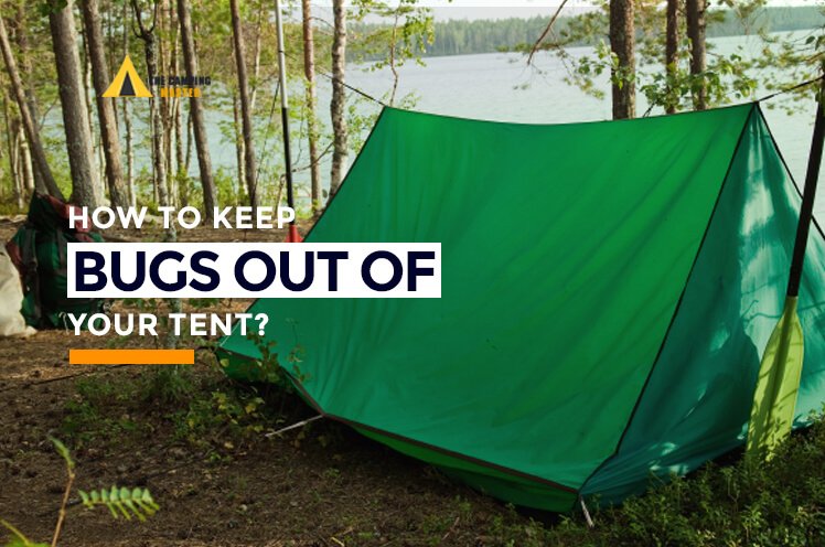 how to keep bugs out of your tent