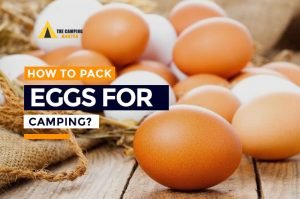 How to Pack Eggs for Camping? Here are 8 Simple Ways and Useful Tips