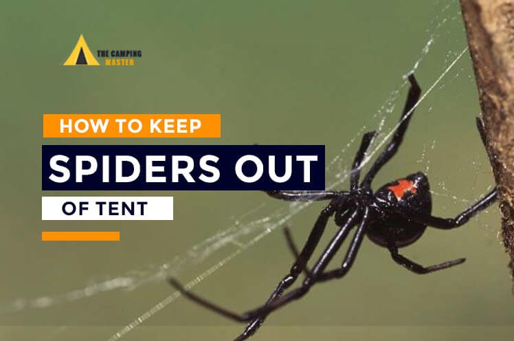 How to Keep Spiders Out of Your Tent