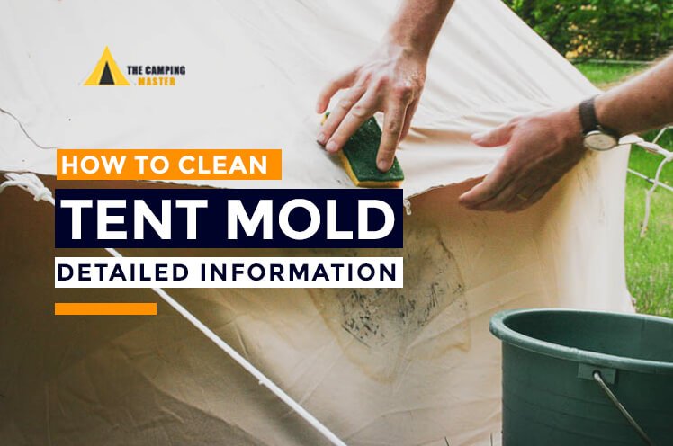 How to clean tent mold