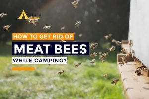 How to Get Rid of Meat Bees While Camping 2024-2025 | 5 Easy Ways