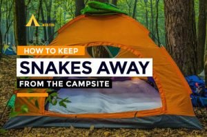 How to Keep Snakes Away From the Campsite